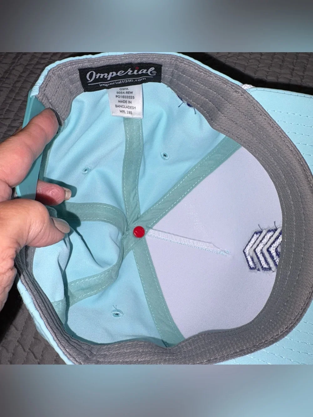 DOWN SYNDROME, ASSOCIATION OF GREATER CHARLOTTE HAT, CAP ONE SIZE FIT ALL EUC